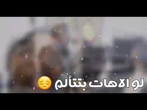 ابو زيزو لو الاهات بتتألم حالات واتس جاهزه للتحميل