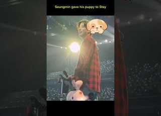 Seungmin Gave His Puppym To Stay Straykids Seungmin