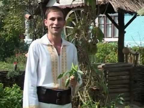 ION PALADI FOAIE VERDE CINCI CHIPERI SPIROS GALATI