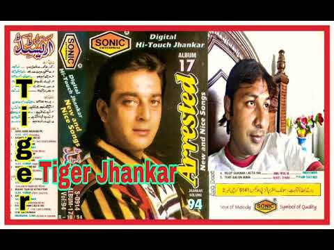 Mujhe Tujh Se Kitna Peyar Hai Jhankar Kumar Sanu Alka