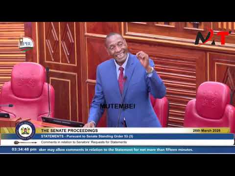 WAMATINGA BREATHES FIRE IN SENATE DEFENDING RUTO NYOTA PROGRAM