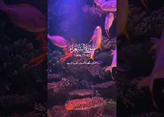  Suart Ash Shuara Ayat 77 82 Islamicvideo Quran