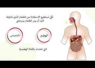 الهضم و الامتصاص علوم الصف الثامن قناة المعلم المبدع