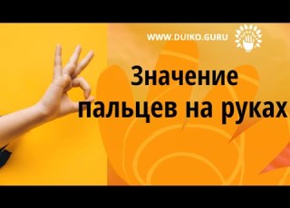  Значение пальцев на руках Андрей Дуйко