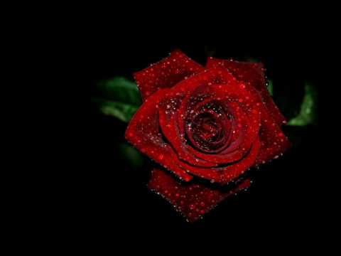 Majid El Remeh Bnos Shbat بنص شباط مجيد الرمح Wmv