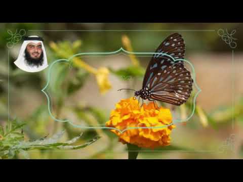 يوم تبيض وجوه وتسود وجوه تلاوه للشيخ أحمد العجمي