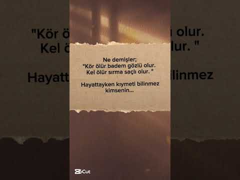 Hayattayken Kıymeti Bilinmez Kimsenin Youtubeshorts Hayattayken Kıymeti Bilinmez Kimsenin Youtubeshorts