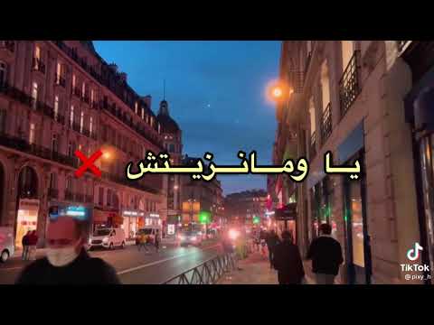 لايم فدور نشريهم أورو هكا بانتلي