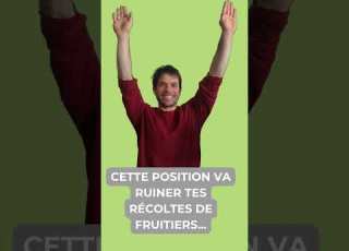Formation D Arbres Fruitiers