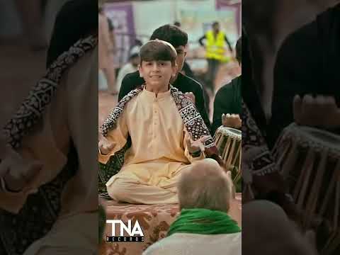 Sarkar Se Acha Koi Nahi Sibtan Haider Manqabat Watsapp Status