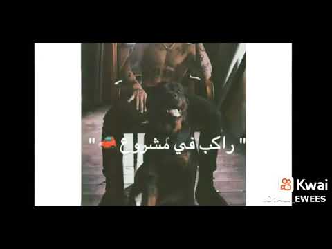 اشبال اجدع ما فيكو معروف طبال