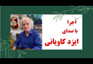 اجرای خیابانی ایزد کاویانی هنرمند کهنه کار تهرانی در بهارستان صدایی ماندگار در دل پایتخت