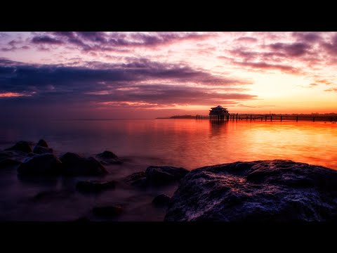 The Ambientalist Maybe It S Love