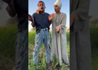  الحاج كابو عايز ايفون برو ما بمقابل اربع حمير