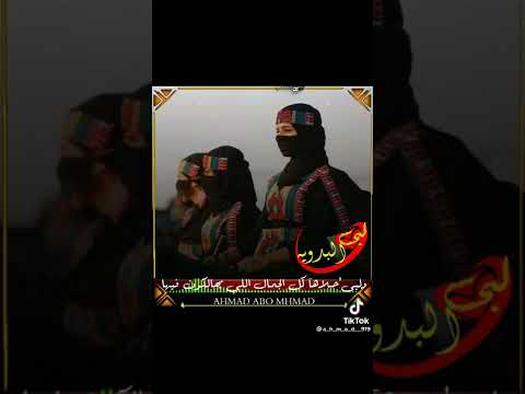 الفنان احمد براهيم