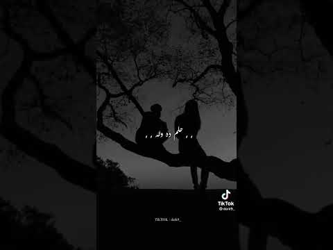 حلات واتس حب اغنية أهدى ياقبى هى دى الرنة