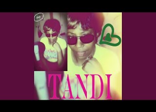  Introducing Tandi