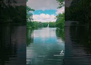 أصالة نصري انت المحبة كلها