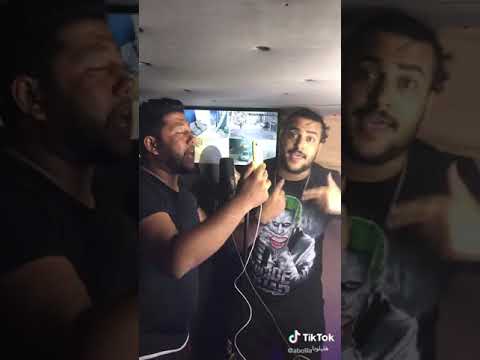 فيلو السويس