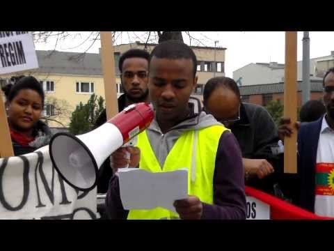 Oromo Demonstrtaion Aganist TPLF Hamar 14 03 2014 Part 13
