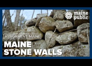 Why Maine S Woods Have So Many Rock Walls Assignment Maine