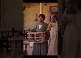 حكم شيخ العرب همام علي السارق