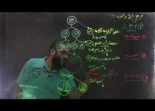 ٣ ثانوي مراحل تكوين البويضات من التكاثر في الانسان م الغريب