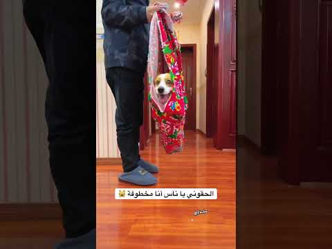 الحقوني يا ناس أنا مخطوفة