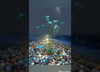 Islamic Music Background L Sad Music