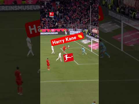 Harry KANE Bundesliga Logo