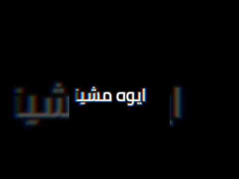 كل صحابى كلاب ضاله