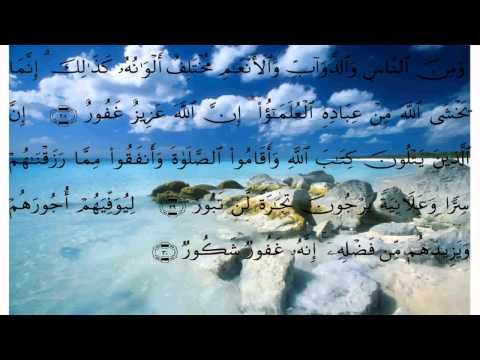 سورة فاطر عبد الله خياط