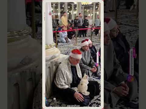 لحظات إنسانية طبيب القلوب القارئ حجاج الهنداوي يربت على قطة خلال صلاة الفجر بمسجد الإمام الحسين