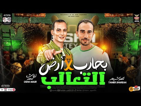 بحارب فى ارض التعالب تامر شريعة اوشا مصر طلعات جديدة 2024 لعشاق الروقان والحظ شعبي جديد2024