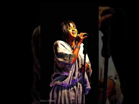 Ejigayahu Shibabaw Gigi