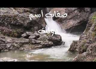 معنى أسم دولت Daolat