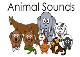  Animal Sounds Names For Children Kids Kindergarten Preschoolers Toddlers Animals Sound Effects
