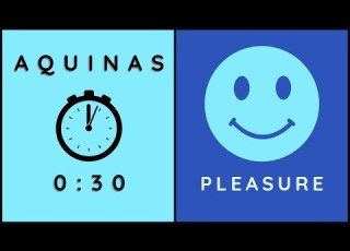  4 Harms Of Pleasure 30 Sec Aquinas Shorts