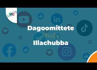 DAGOOMITTETE MIIDIY ILLACHUBBA