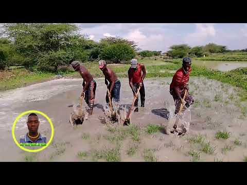 MWANA ELIZA 26 3 2026 UJUMBE WA MAHINDI Tala Makompyuta Official Video MWANA ELIZA 26 3 2026 UJUMBE WA MAHINDI Tala Makompyuta Official Video