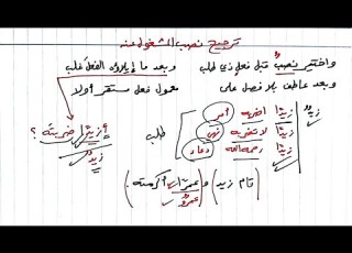  شرح ألفية ابن مالك 105 أحكام المشغول عنه