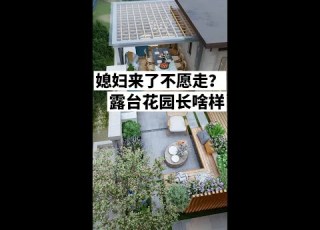 媳妇来了不愿意走 露台花园长啥样