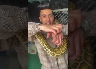  عدد أسنان الثعابين العملاقه كميه مرعبه جدا اسنان عامله ذي الخطاف