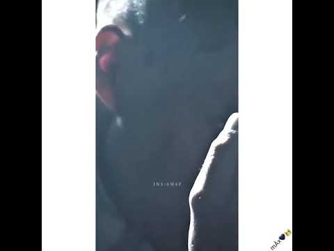 مفيش كلام يتقال