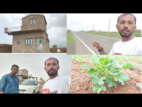 Bakotra Farmhouse In Sasan Gir Area