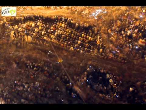 أمال ماهر يامصرييـــــــــــــن