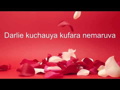 Jah Prayzah Cry No More Official Lyric Video A Dedication To My Wife