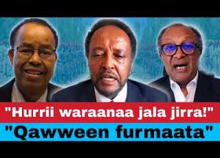 Oduu WBO N Ijiptiif Eertiraa Waliin Walii Galuun Lola Hammeessa Jedhan Hayyoonni Oromoo