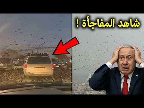 بالفيديو لحظة ظهور الغربان فى سماء اسرائيل انظروا ماذا فعلت فى تل ابيب ردة فعلها صدمت الملايين