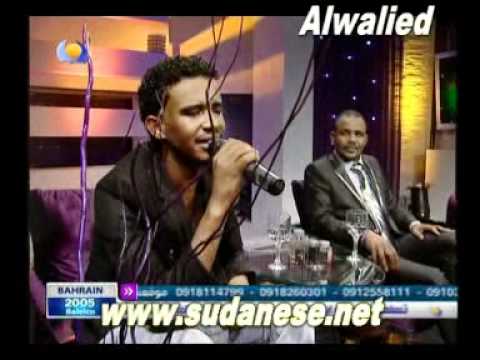 حسين الصادق المقادير